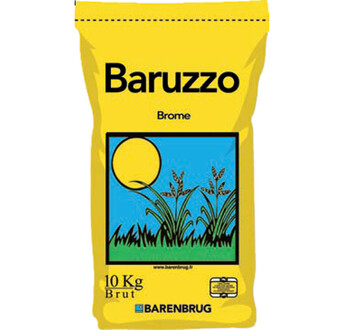 SEM. BROME STAMINEUS BARUZZO SAC10KG