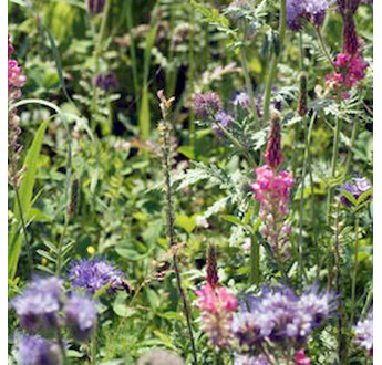 SEM. MELANGE NATURALITE APICULTURE 5KG