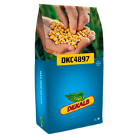 SEM. MAIS DKC 4897 REDIGO M DOSE 50MG