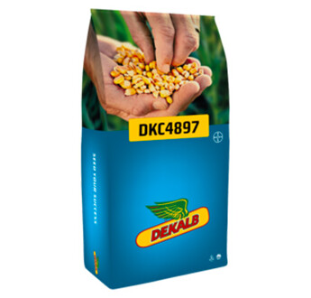 SEM. MAIS DKC 4897 REDIGO M DOSE 50MG