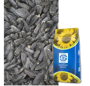 SEM. TOURNESOL BALISTO OL EMBRACE NET DOSE 150MG