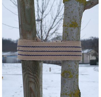 BANDE A CLOUER BIODEGRADABLE JUTE BIOBANDE 6CM X 25 ML