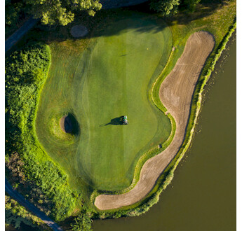 GAZON AGROSTIS STOLONIFERE COBRA NOVA SEAU 10KG