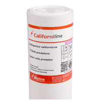 AMBLYSEIUS CALIFORNICUS SON VERMICULITE BOUTEILLE 2000 INDIVIDUS