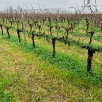 SEM. MELANGE FRANCE ENHERBEMENT N°4 SAC10KG