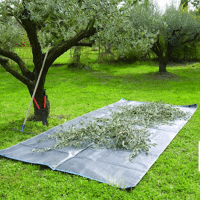 BACHE DE RAMASSAGE 200X500 CM + 4 POIGNEES