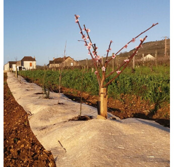 TOILE DE PAILLAGE LONGPROTECT 450G/M2 1M20 X 50ML / M2