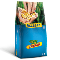 SEM. MAIS DKC 5812 REDIGO + ACCELERON (INTEGRAL PRO+B 300F) DOSE50MG