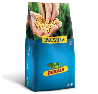 SEM. MAIS DKC 5812 REDIGO + ACCELERON (INTEGRAL PRO+B 300F) DOSE50MG