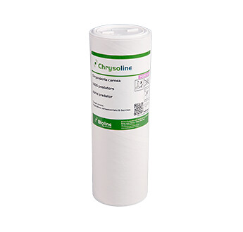 CHRYSOLINE CHRYSOPERLA CARNEA SAC 5L 2500 INDIVIDUS