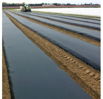 FILM PAILLAGE BIOCASE NOIR 15MC 1M00X1500M NON PERFORE