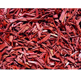 PAILLIS COLOR ROUGE 20/50 BB1M3 PRO105