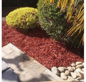 PAILLIS COLOR ROUGE 20/50 BB1M3 PRO105