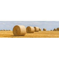 FILET PERFORMANCE LEADER WRAP SG+ 123 CM 2600 M