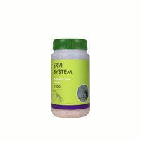 ERVI-SYSTEM 2000 SUR SCIURE DE BOIS 100ML