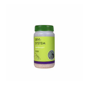 ERVI-SYSTEM 2000 SUR SCIURE DE BOIS 100ML