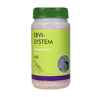 ERVI-SYSTEM - 500