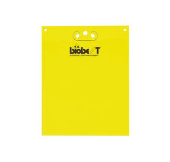 PIEGE STICKY BIOMIP JAUNE COLLE SECHE 25X40 SACHET DE 50 PANNEAUX