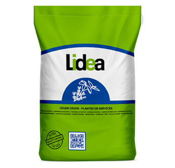 SEM. MELANGE LIDVINE CAVAILLON SAC15KG
