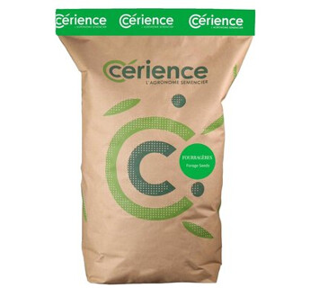 SEM. RAY GRASS ITALIE 4N ALT. MELISTAR SAC15KG