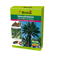NEMAPALMIER 50 NEMATODES ANTI RAVAGEURS DES PALMIERS BOITE DE 50 MILLIONS SC