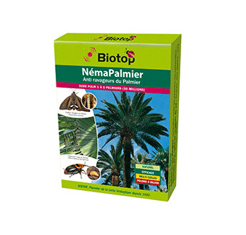 NEMAPALMIER 50 NEMATODES ANTI RAVAGEURS DES PALMIERS BOITE DE 50 MILLIONS SC