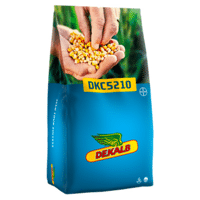 SEM. MAIS DKC 5210 REDIGO M DOSE 50MG
