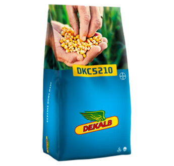 SEM. MAIS DKC 5210 REDIGO M DOSE 50 MG