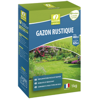 GAZON RUSTIQUE 1KG LES INEDITS NEW