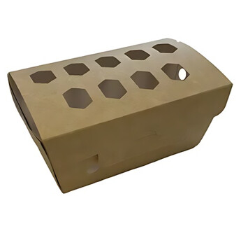 BARQUETTE CARTON 500G COD5295 DECOR FRAISES PERRET - CARTON DE 400