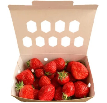 BARQUETTE CARTON 500G COD5295 DECOR FRAISES PERRET - CARTON DE 400