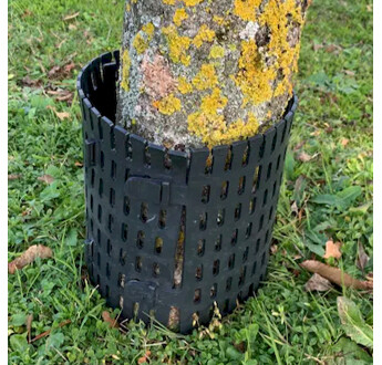 TREE'BASE PROTECTION DE PIED D'ARBRE 340MM X H 200MM