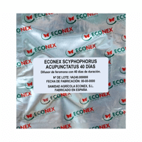 ECONEX SCYPHOPHORUS ACUPUNCTATUS 40 JOURS