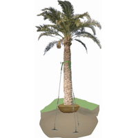 HAUBANAGE POUR PALMIER 4M50 DIAM 20/25 68DTSPALM