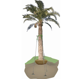 HAUBANAGE POUR PALMIER 4M50 DIAM 20/25 68DTSPALM