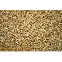 SEM. RIZ LONG A ARELATE NT BB500