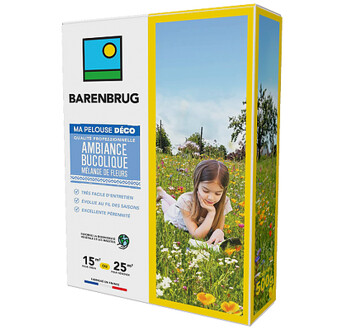 AMBIANCE BUCOLIQUE - MELANGE DE FLEURS 500G