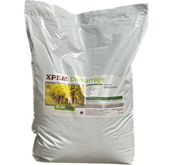 XPER DEMARRAGE