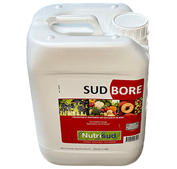 SUD BORE