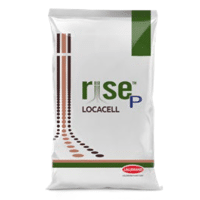 RISE P LOCACELL