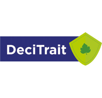 DECITRAIT POUR 5 PARCELLES