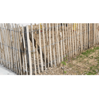 CLOTURE GANIVELLE ACACIA 1M20 X 10ML ESP 4/6CM LATTES FENDUES