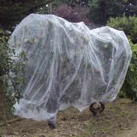 FILET ALT TORDEUSE FRUCTUS 5X4 / M2