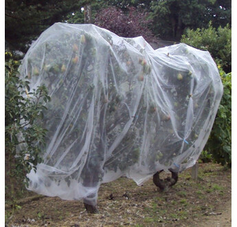 FILET ALT TORDEUSE FRUCTUS 5X4 / M2