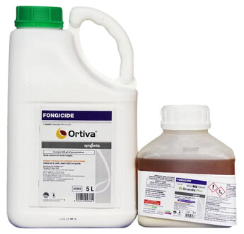 PASS ORONDIS PLUS 1L+ ORTIVA 5L 1 PC FRA
