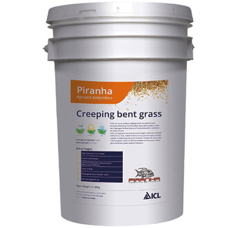 SEM. AGROSTIDE PIRANHA 11.35KG