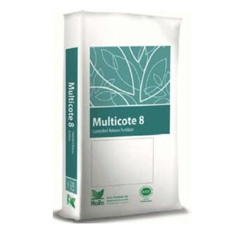 14-07-24+OE CPX MULTICOTE EXTRA (8 MOIS)