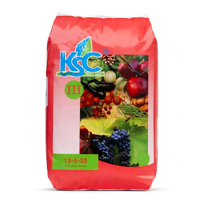 15-05-35 SOLUBLE KSC III ROUGE