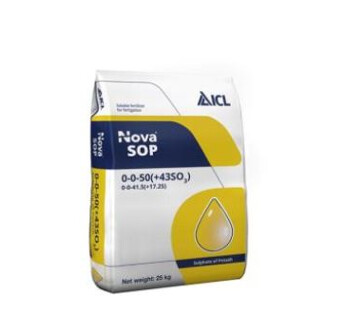 00-00-52+45SO3 SOLUBLE SULFATE POTASSE SOLUBLE