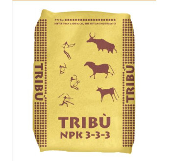 03-03-03 BOUCHON TRIBU